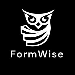 FormWise - платформа для создания инструментов ии